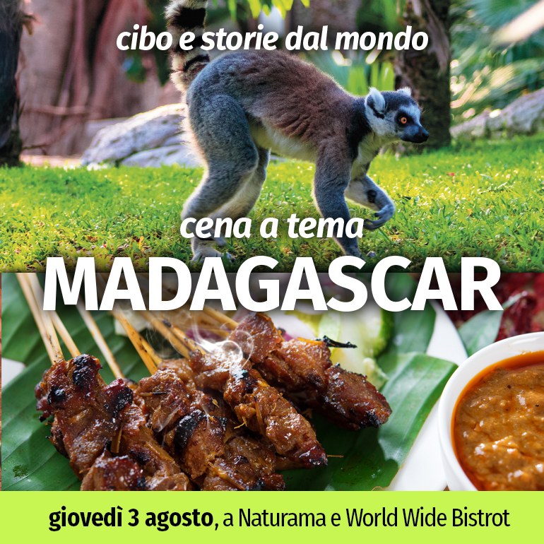 Prenota l'esclusiva cena a tema "Madagascar" di giovedì 3 Agosto