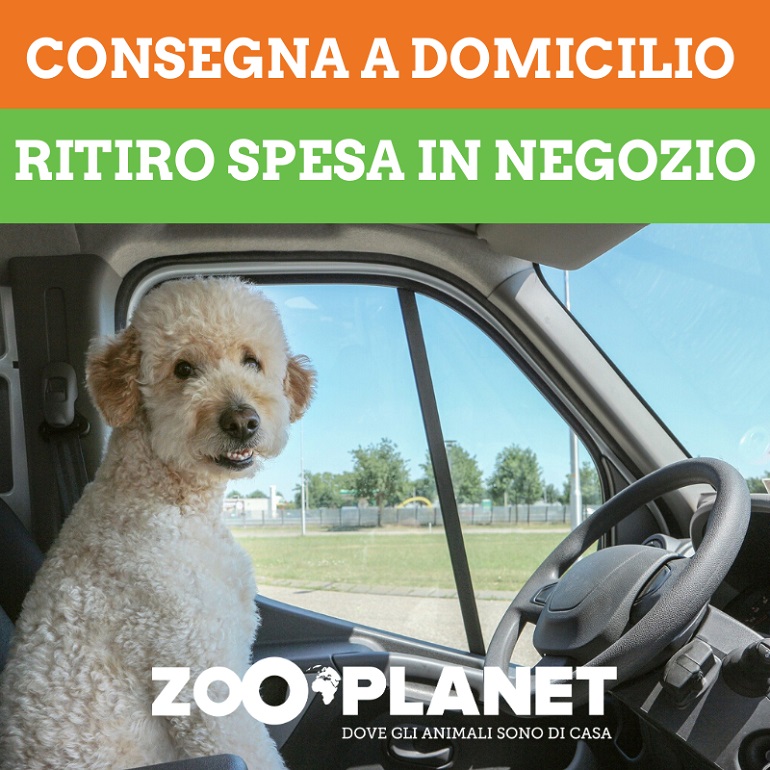 Zooplanet: Consegna a domicilio o ritiro spesa in negozio