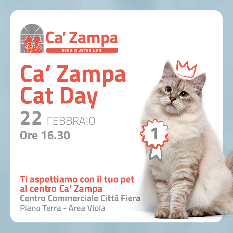 Ca'Zampa Cat Day