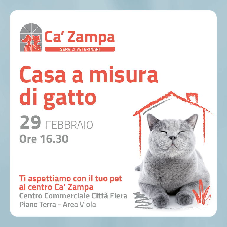 Casa a misura di gatto