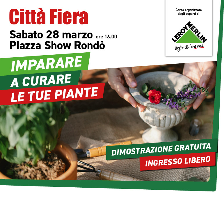 Impara a curare le tue piante con Leroy Merlin