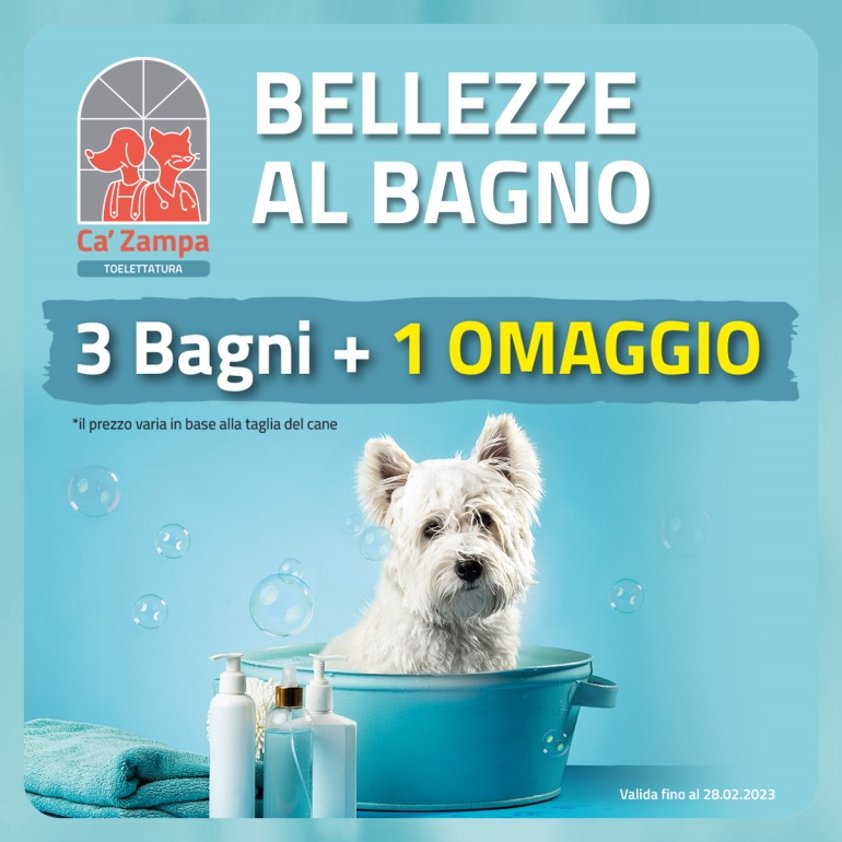 Bellezze al bagno
