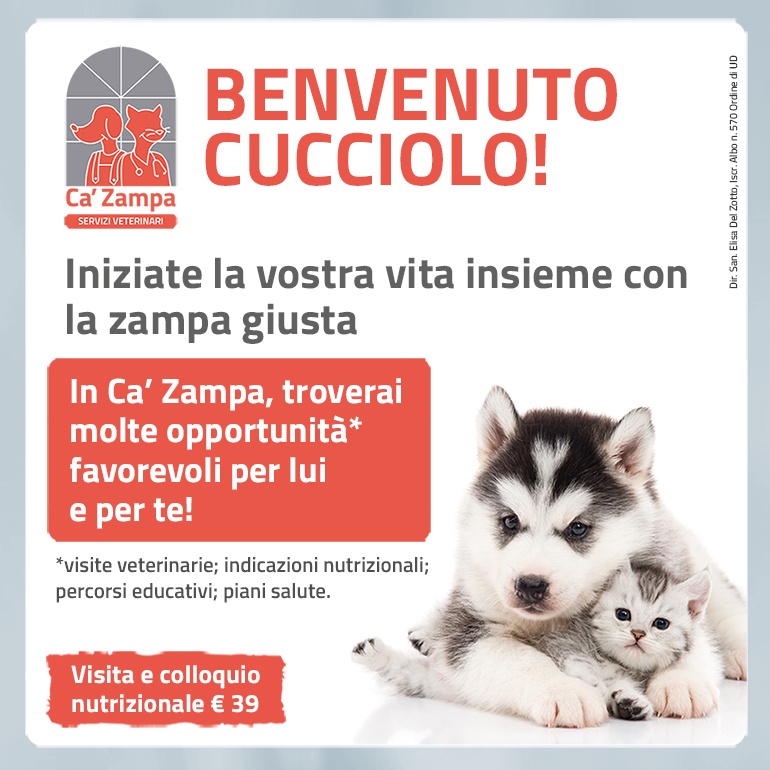 Benvenuto cucciolo