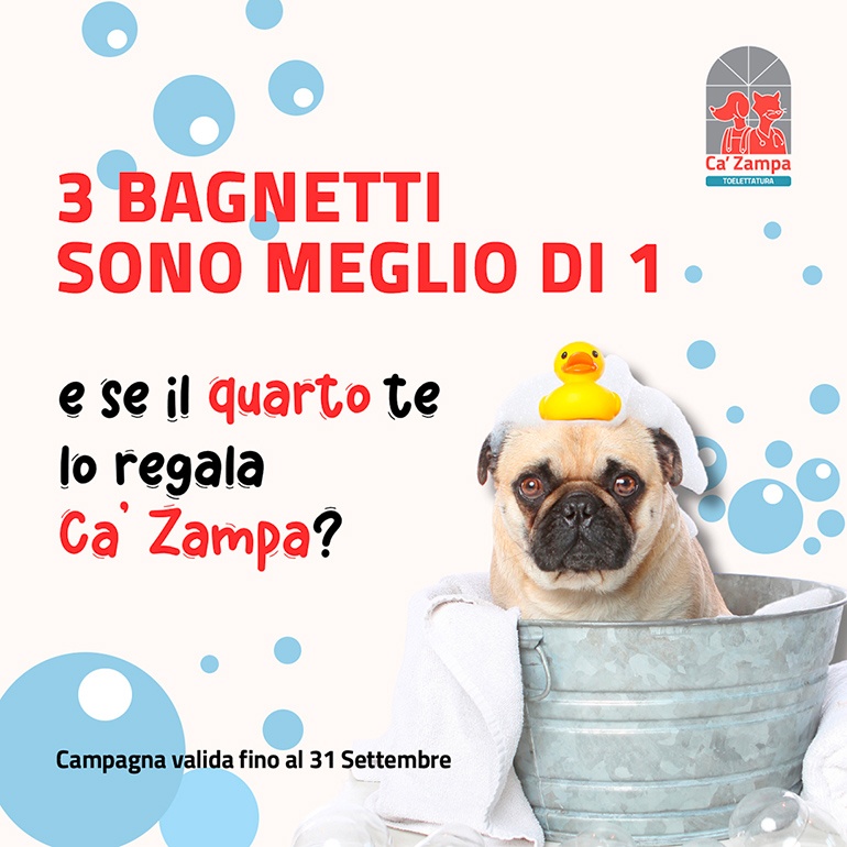 Promo toelettatura