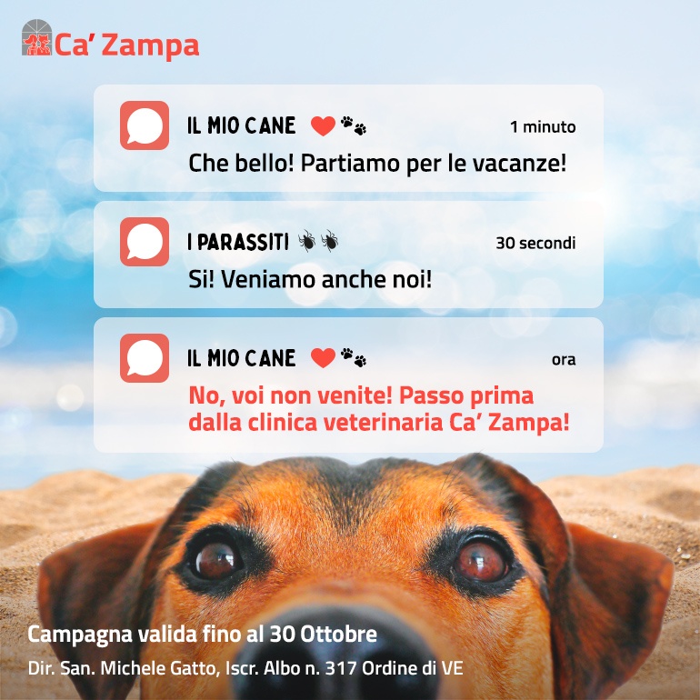 Campagna di controllo dei parassiti esterni e l’applicazione antiparassitaria
